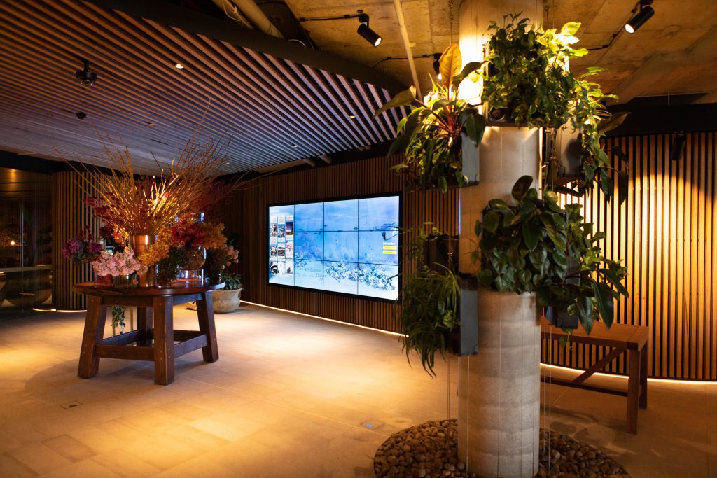 Harbord Diggers Interactive Wall Prendi